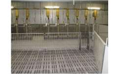 潍坊现代化养猪设备供货商 性价比高的养殖解决方案