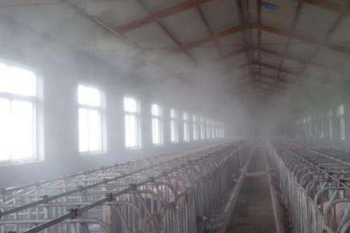 养猪场设备全解析 从猪圈基础到现代化养殖系统