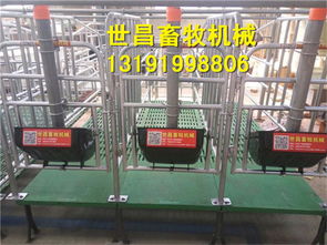 猪限位栏报价与厂家选择指南