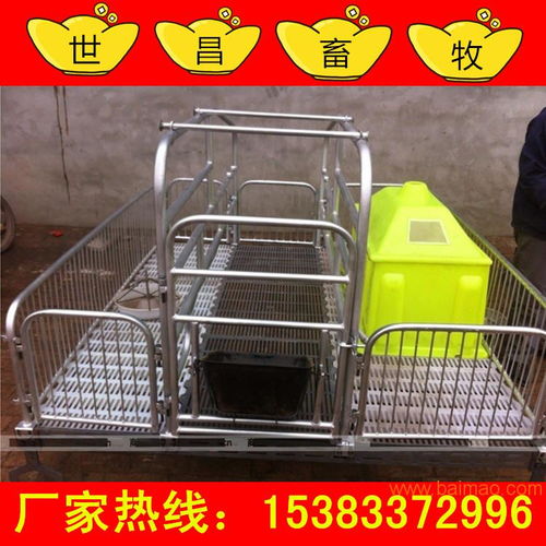 养猪必备设备 弘昌厂家母猪双体产床让利销售，助力高效养殖
