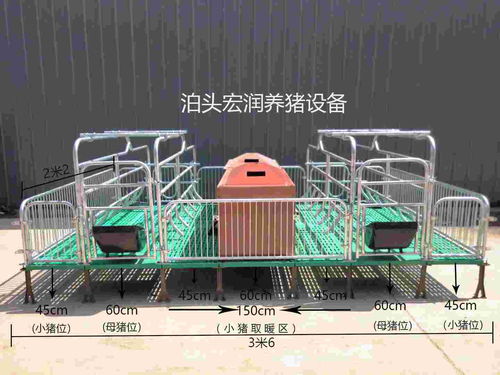 泊头市宏润养猪设备厂 专业打造高效养猪设备，助力现代养殖发展