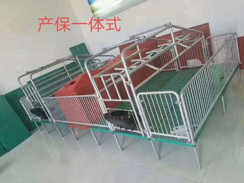 母猪产床与保育床两用设备 提升养猪效率的关键