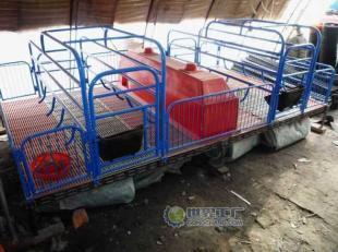 供应鞍山养猪设备，当选爱诺 电热板、保温箱、产床等一站式解决方案