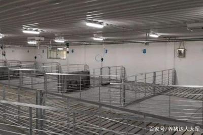 养猪场水泡粪模式 四大关键养猪设备注意事项