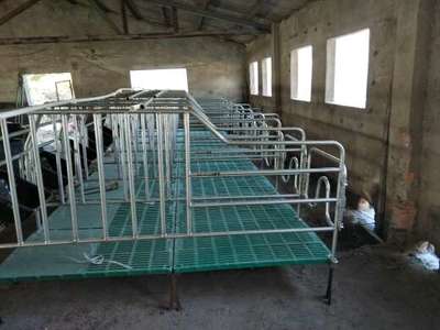 母猪限位栏规格尺寸详解 科学设计与应用指南