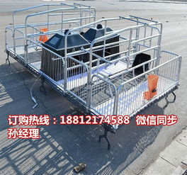 养猪设备专业制造商 定西猪产床批发与双体猪产床优势解析
