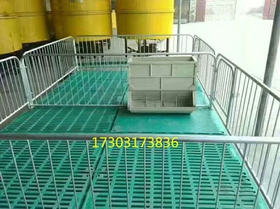 家禽产品信息概览与现代养猪设备技术发展