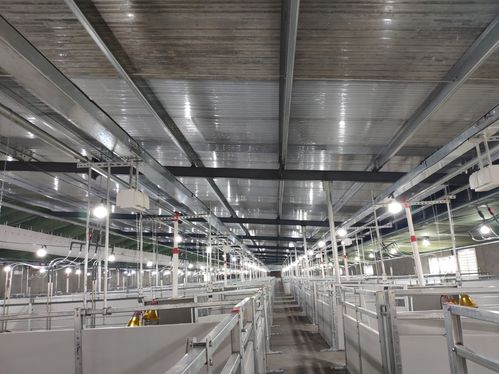 养猪规模化大势所趋,规模化猪场需要哪些养猪设备 栏位系统篇