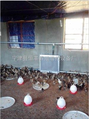 山东宁津养猪调温锅炉 打造高效节能的现代养殖供暖新选择
