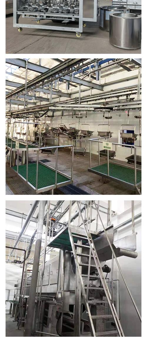 顺意屠宰生猪加工流水线 卫检全在动生产线 猪屠宰设备